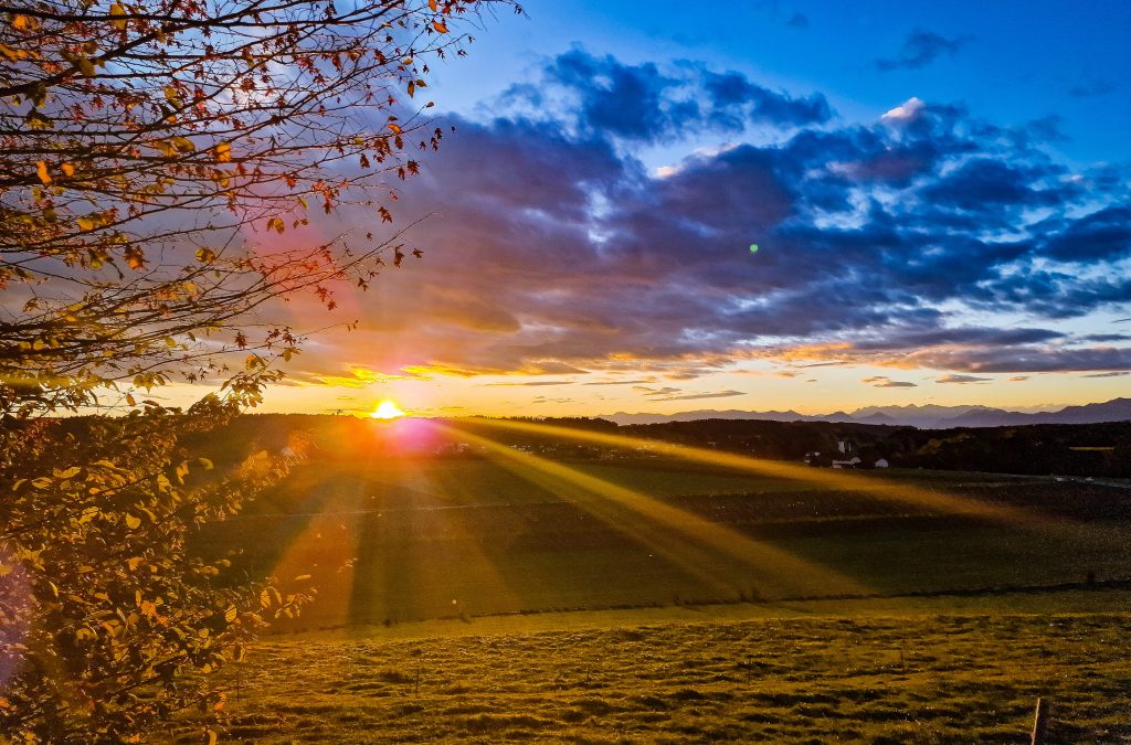Startbild Yoga im Park Claudia Mägdefässel